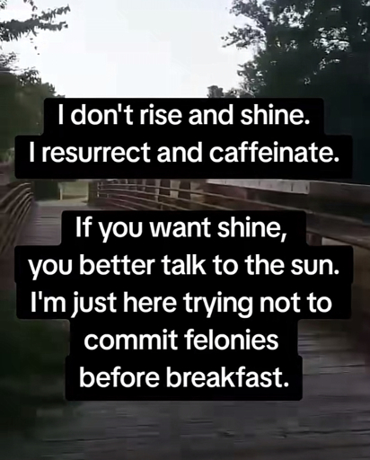  don't rise and shine.
I resurrect and caffeinate.
If you want shine,
you better talk to the sun.
I'm just here trying not to commit felonies before breakfast.