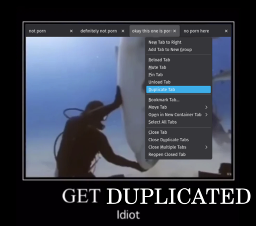 Screencap of a tab bar with the menu opened to highlight "Duplicate Tab", superimposed on a meme which reads "Get duplicated, idiot".