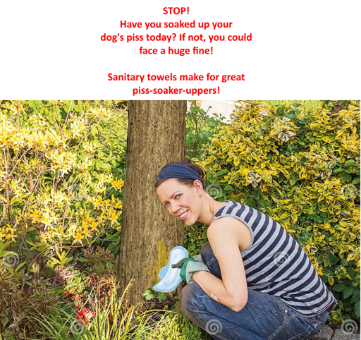 Stock photo of a woman kneeling next to a tree, looking at the camera smiling, while using a sanitary towel to soak piss off the tree trunk left by her dog, with the caption: "STOP! Have you soaked up your dog's piss today? If not, you could face a huge fine! Sanitary towels make for great piss-soaker-uppers!"
